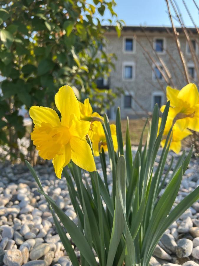 Atmosfere Charme & Country Otel Borgo San Mauro Dış mekan fotoğraf